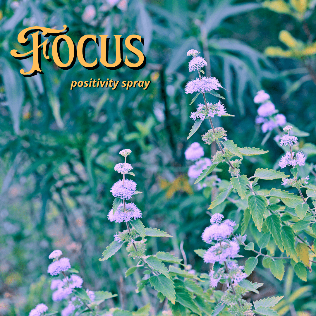 Focus Positivity Spray Potion