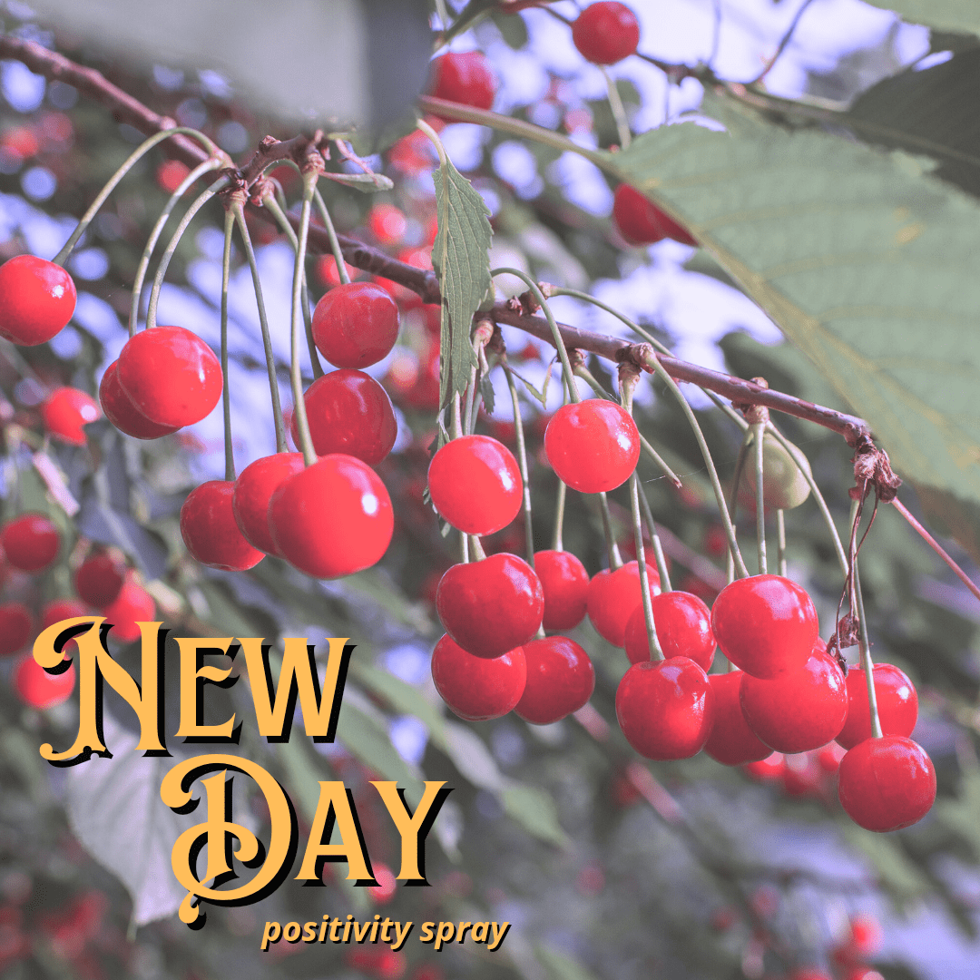 New Day Positivity Spray Potion