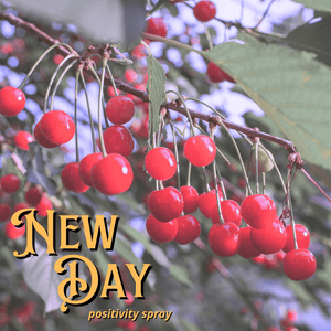 New Day Positivity Spray Potion