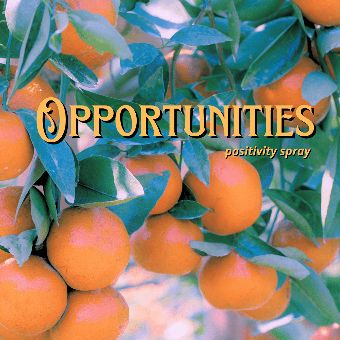 Opportunities Positivity Spray Potion