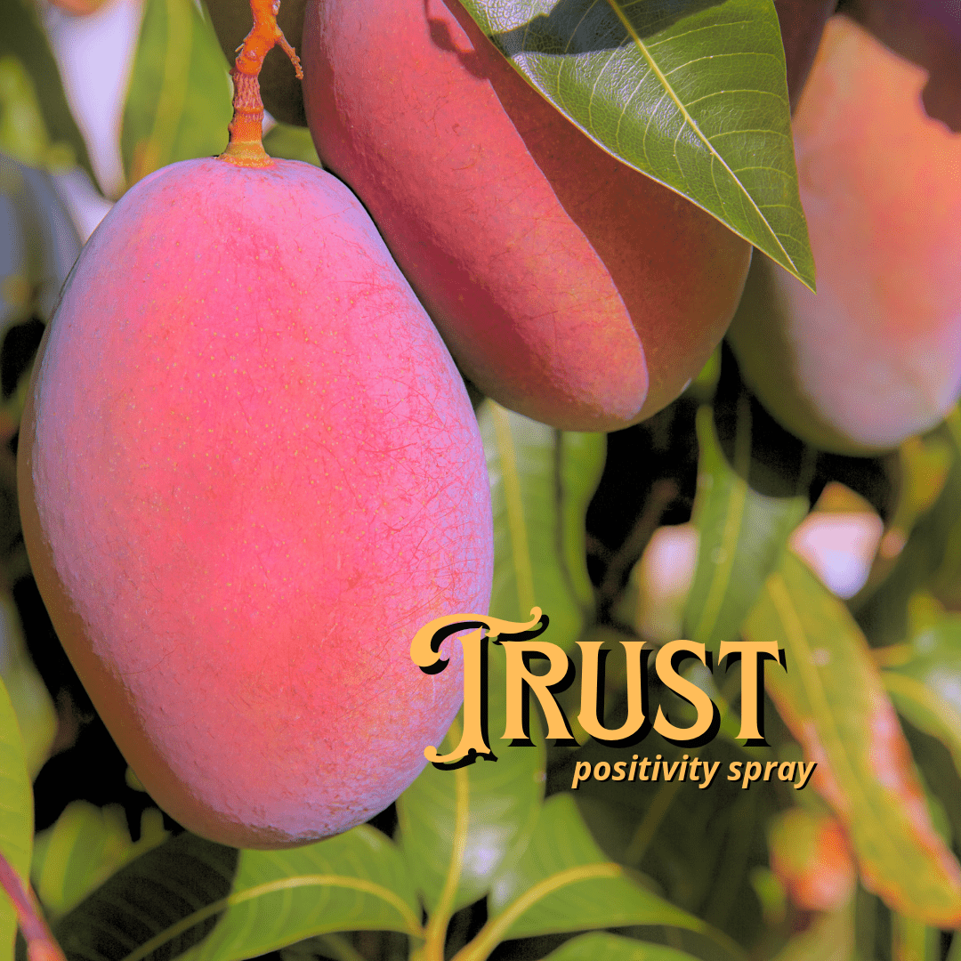 Trust Positivity Spray Potion