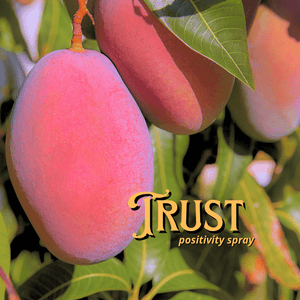 Trust Positivity Spray Potion