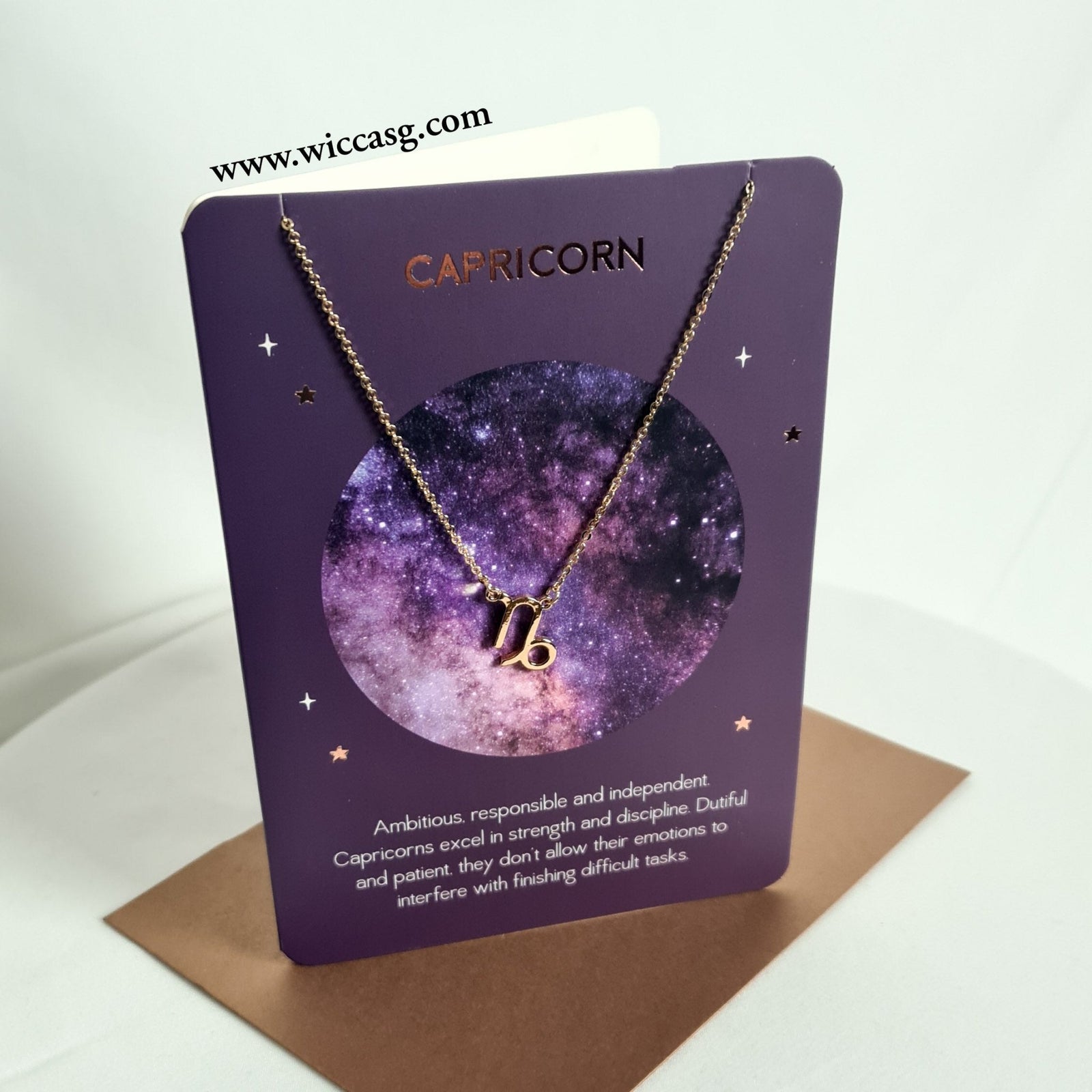 Capricorn Horoscope (Gold) Necklace - Horoscope - Little Wiccan Witchcraft Shop