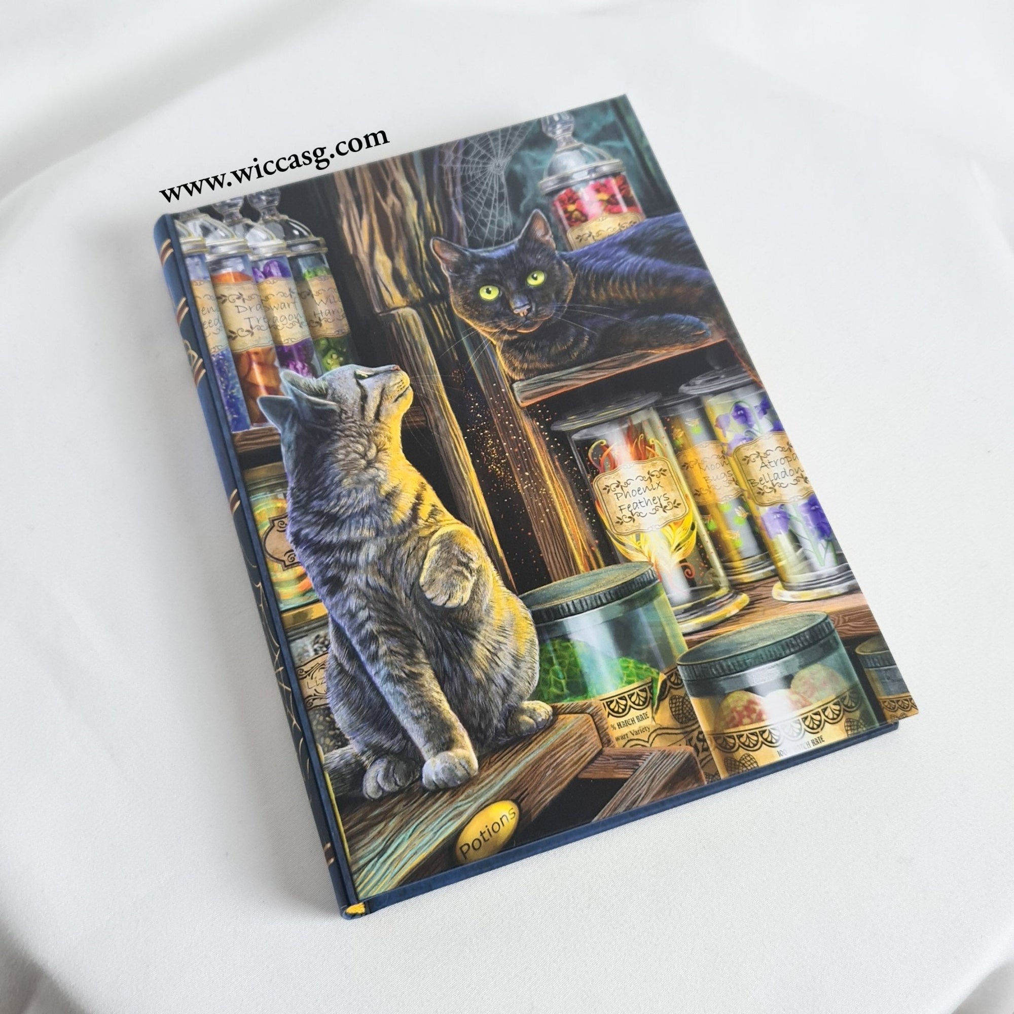 Lisa Parker Journals - Little Wiccan Witchcraft Shop