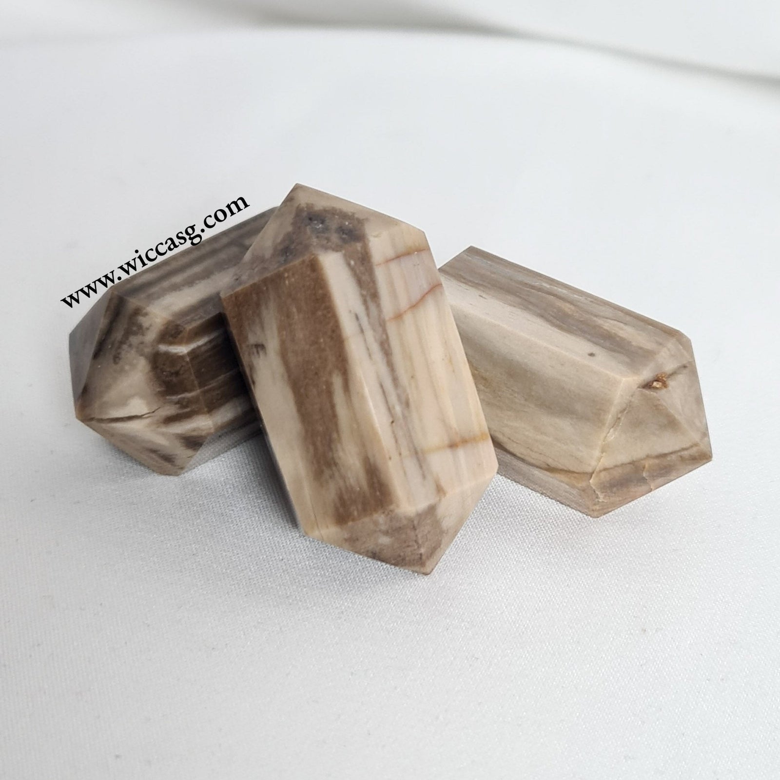 Petrified Wood DT - Mineral - Little Wiccan Witchcraft Shop