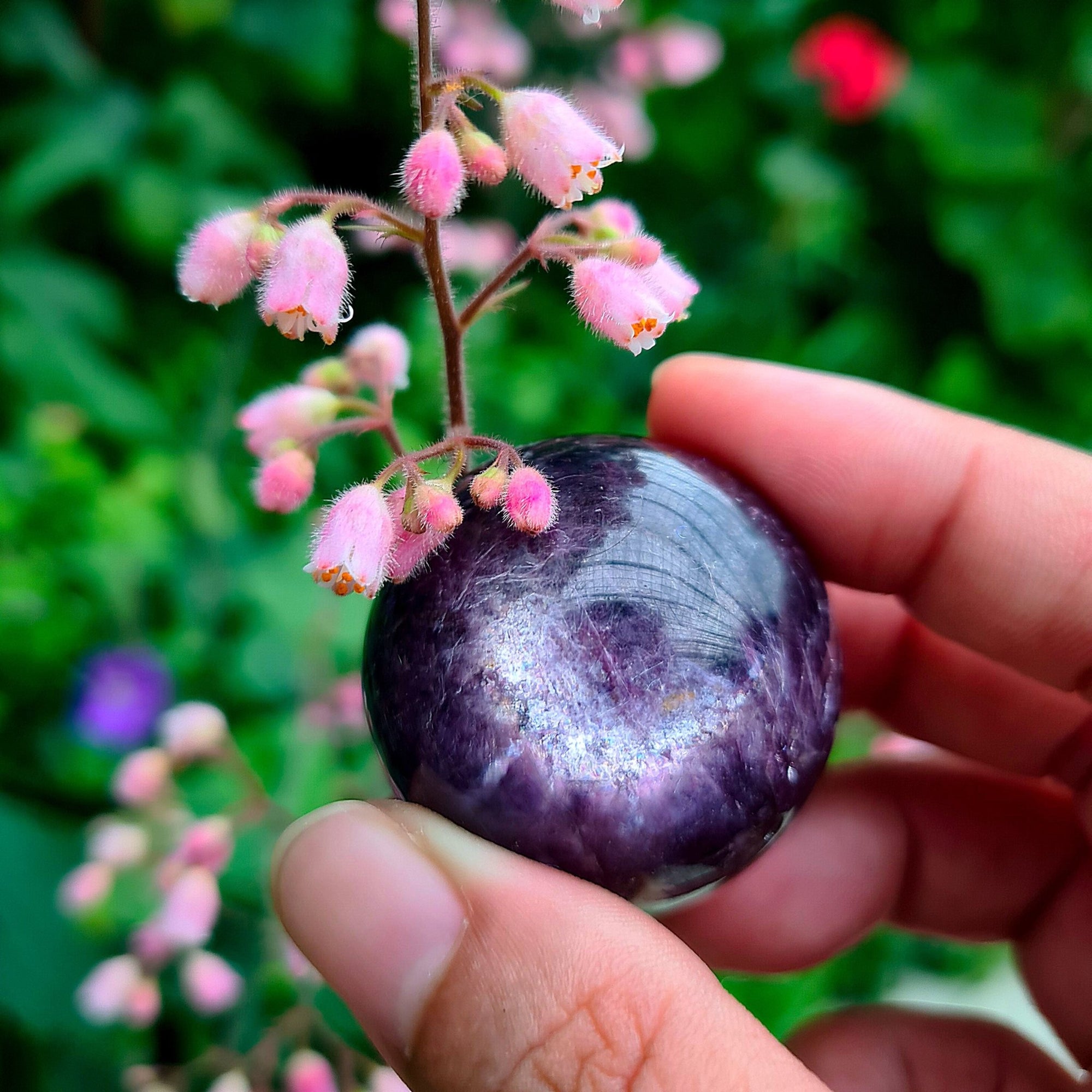 GEM Lepidolite Sphere - Mineral - Little Wiccan Witchcraft Shop